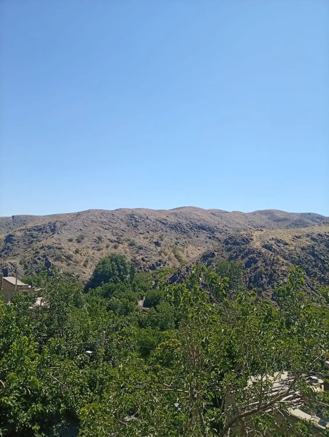 زمین آماده ساخت