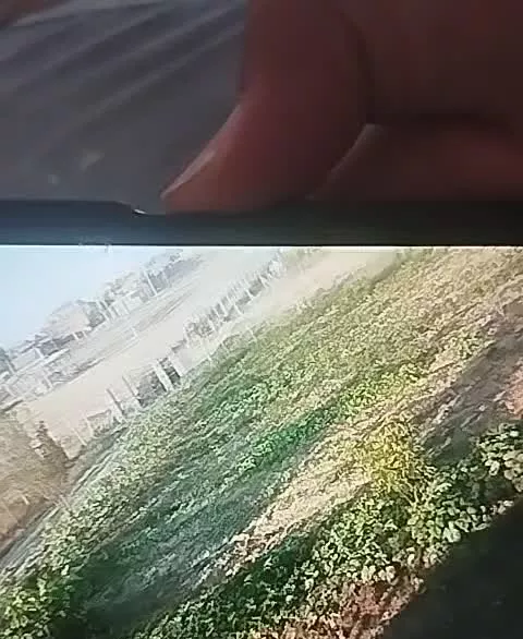 باغچه