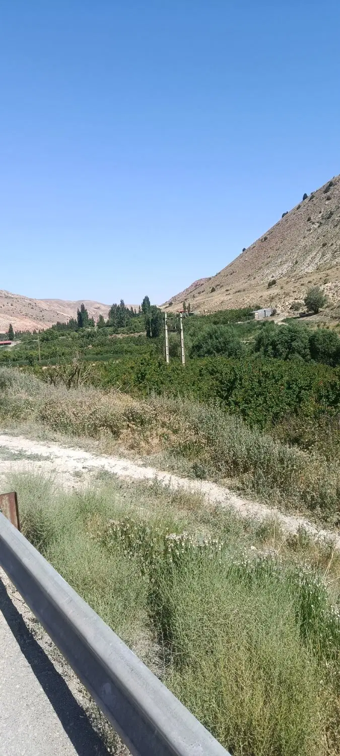 املاک زمین کشاورزی