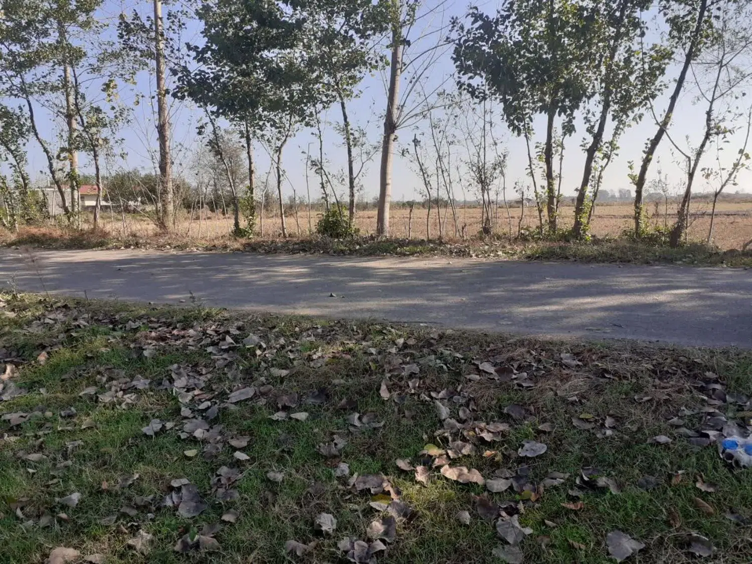 ۸۲۳متر زمین باغی