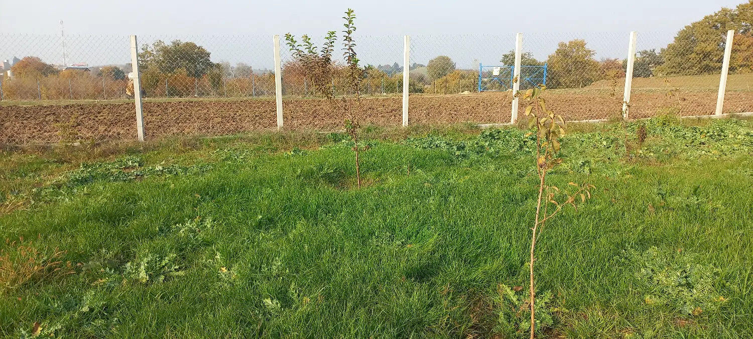 زمین باغی 400مترمربع شموشک
