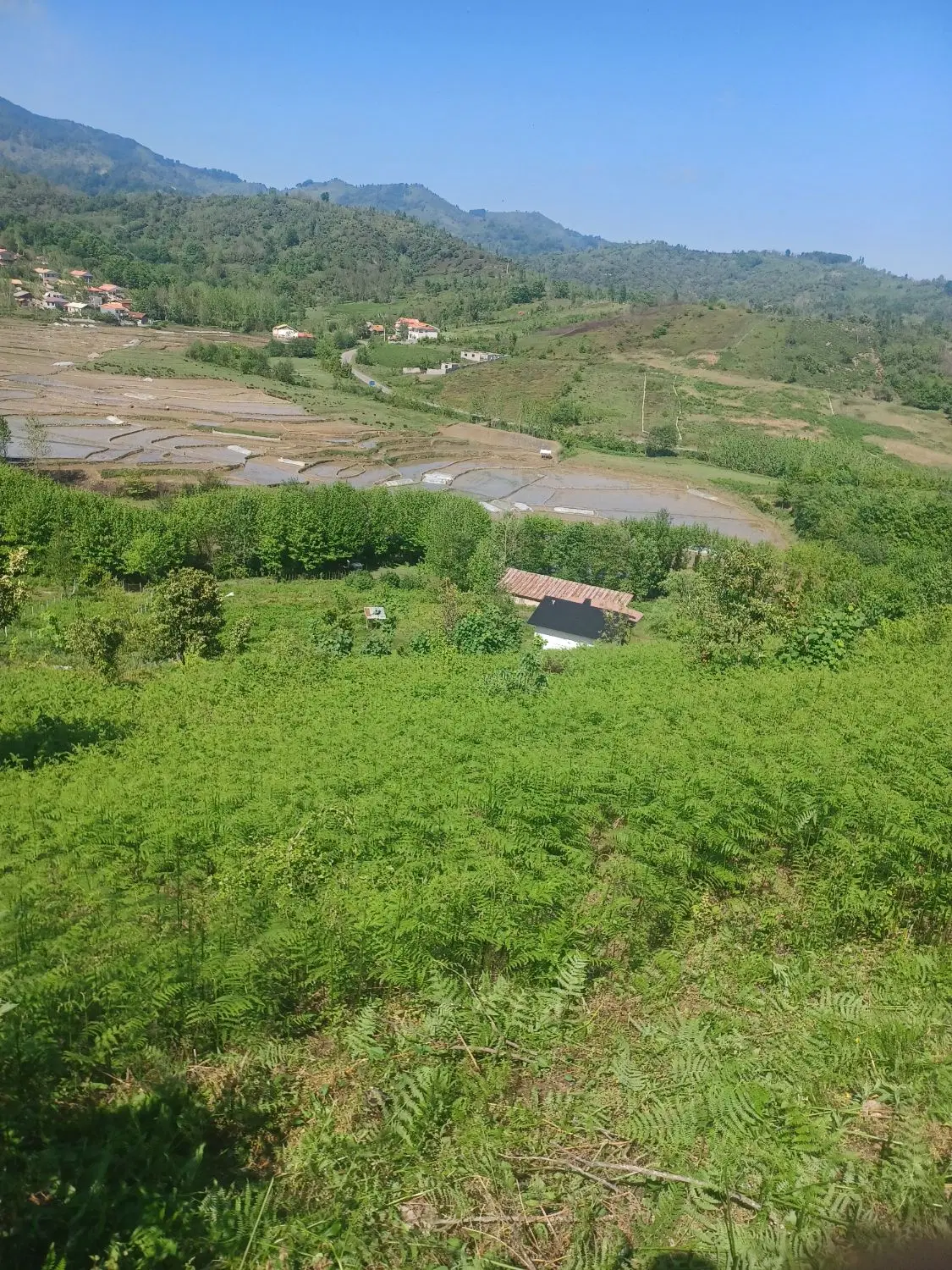 زمین در شمال لنگرود