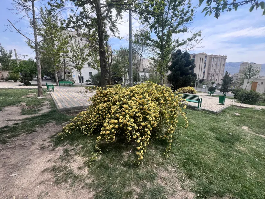 ویلایی ۱۹۸ متری سند دار