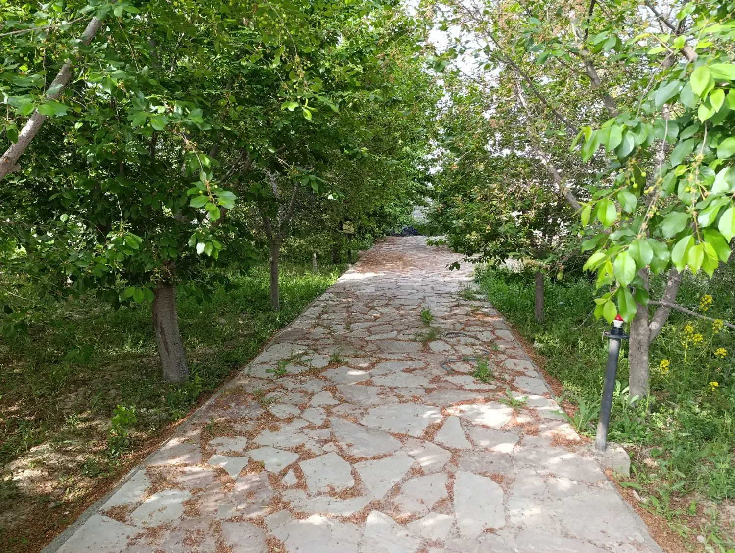 فروش باغ ویلا