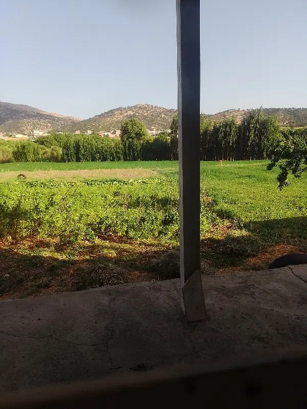 زمین همزاوا
