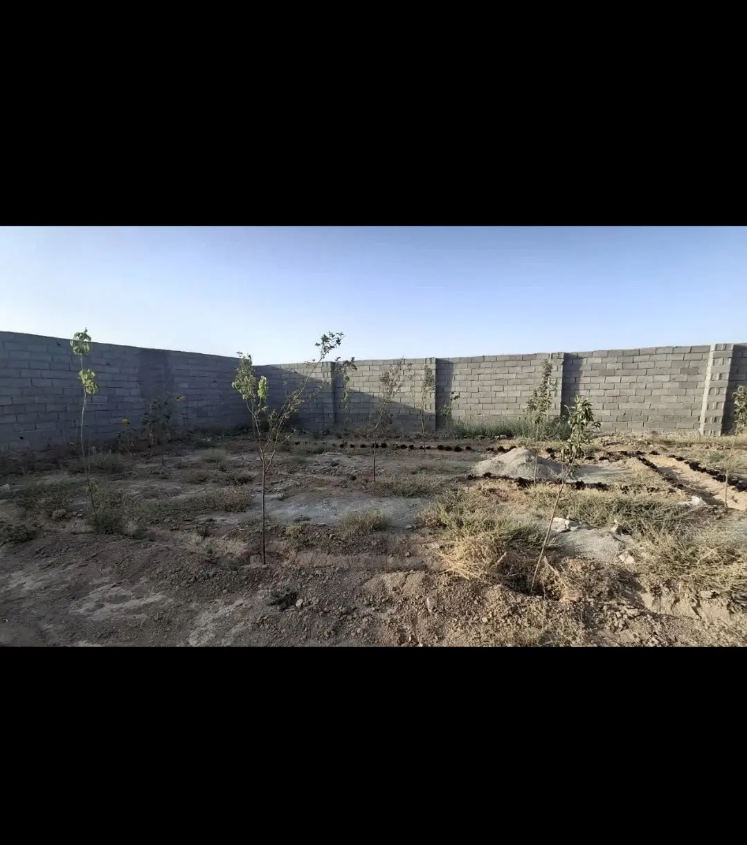 باغچه چهاردیواری بانهال میوه(صفادشت شهریار)