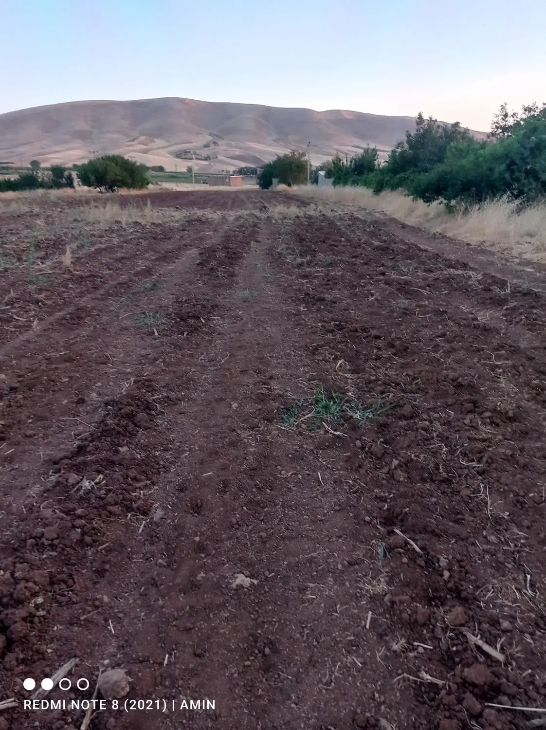 زمین کشاورزی