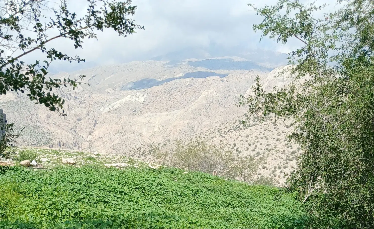 زمین در روستای پشته مولا بفروش میرسد