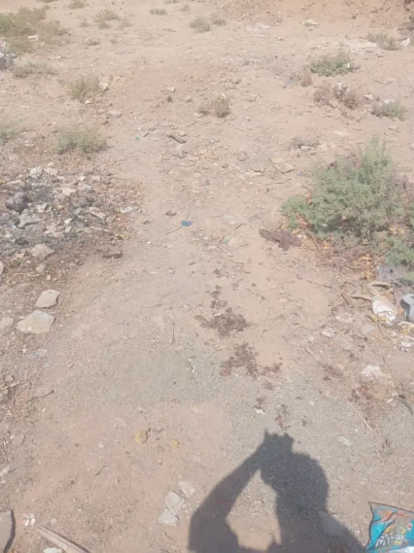 زمین به مساحت 1000 متر دارخوین