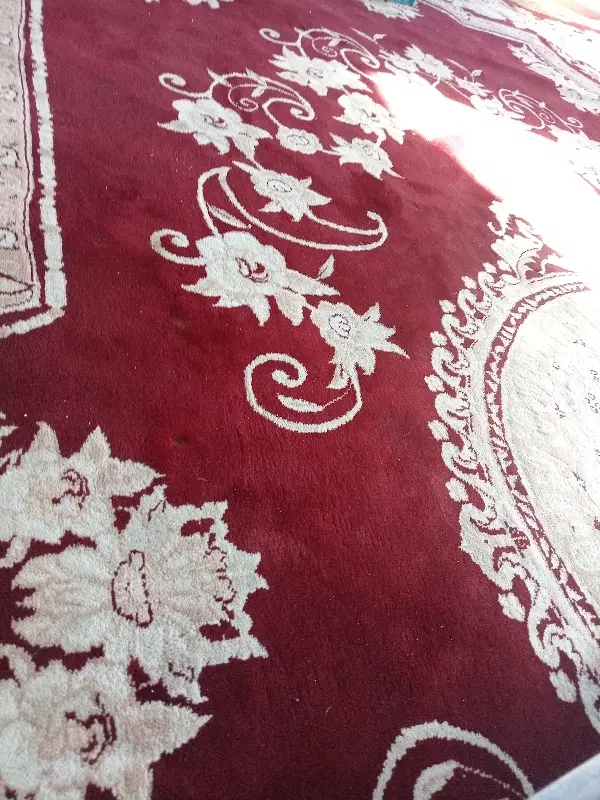 اجاره وهمکاری