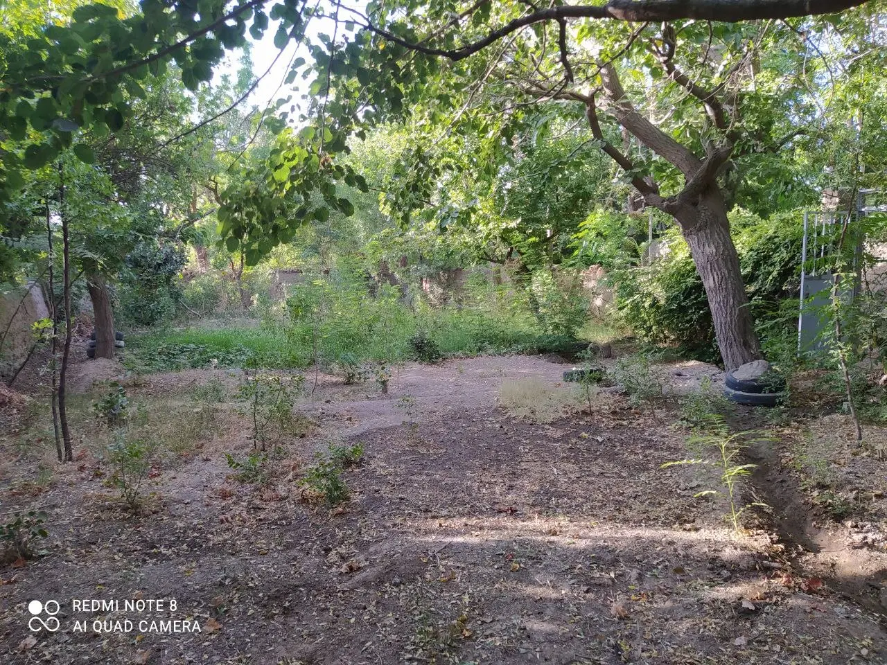 باغ و زمین مزروعی در روستای مزگ