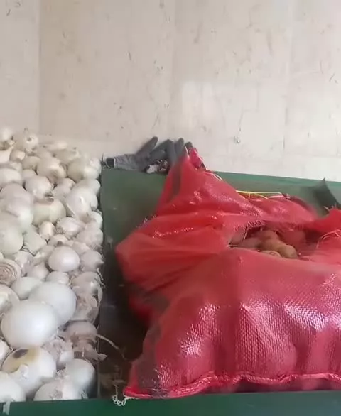 مغازه اجاره