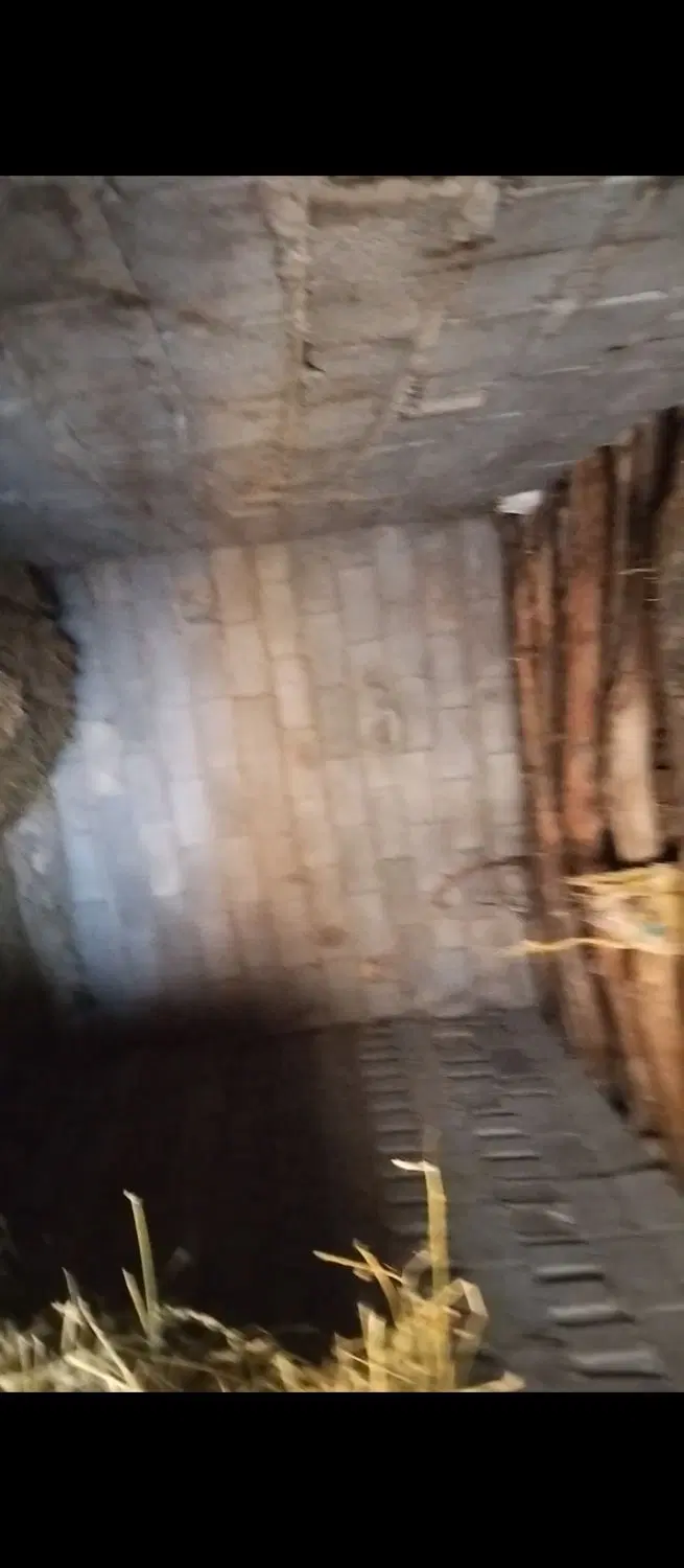 تشکر از دیوار