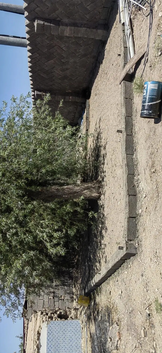 زمین