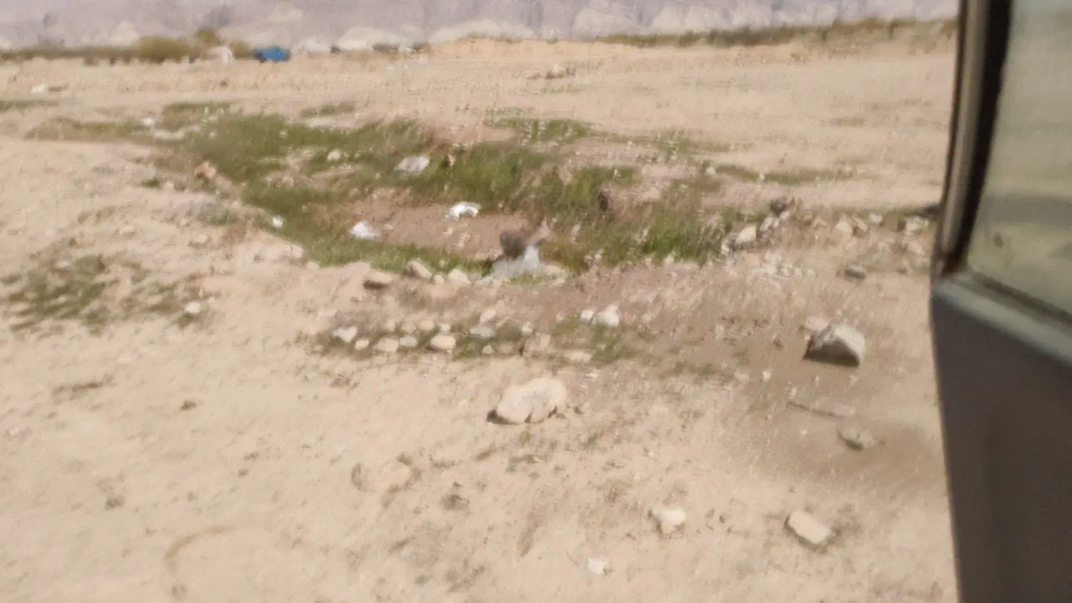 فروش زمین 9دی