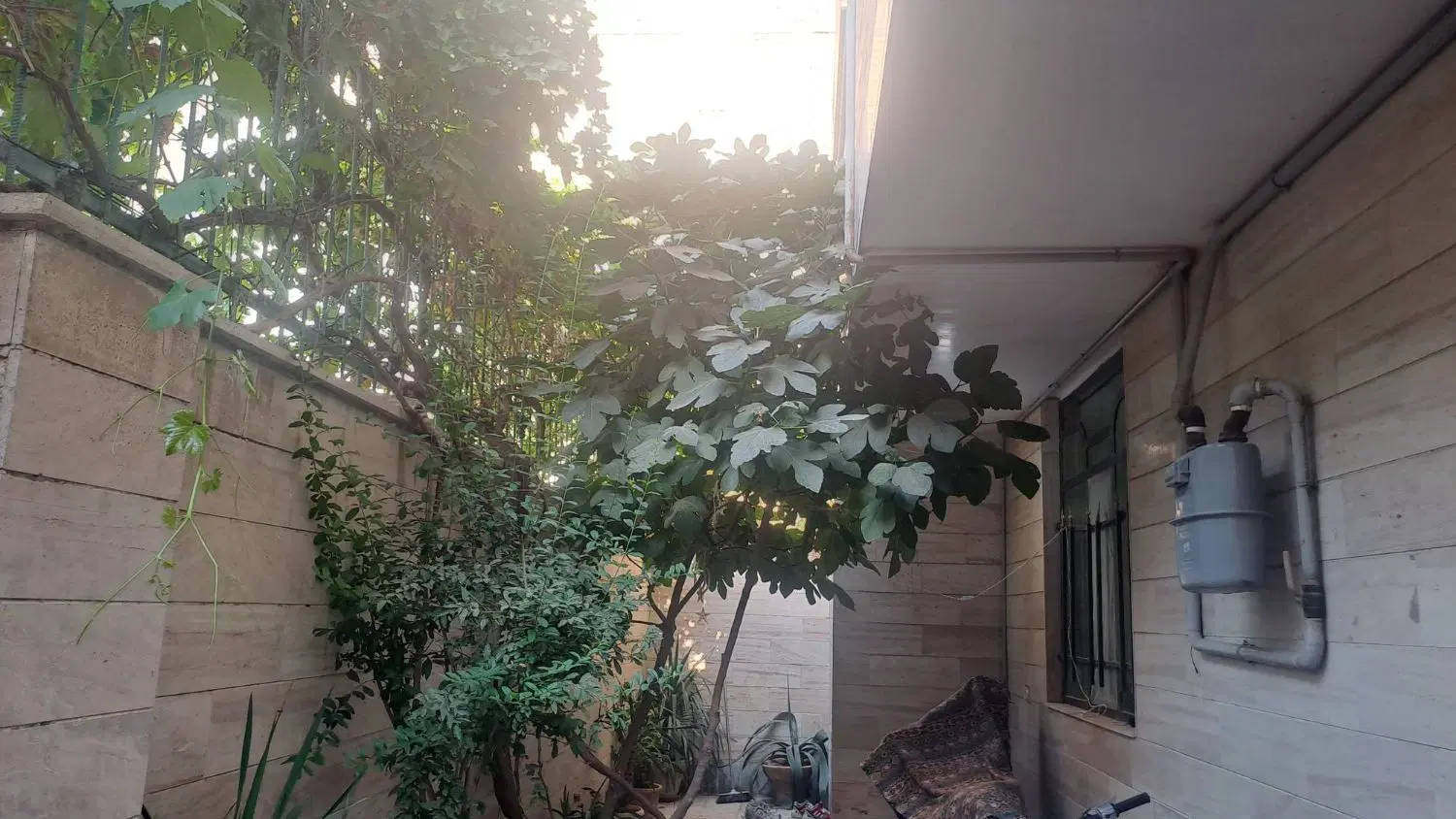 اجاره یک ساختمان ویلایی جهت سکونت وسایر مشاغل