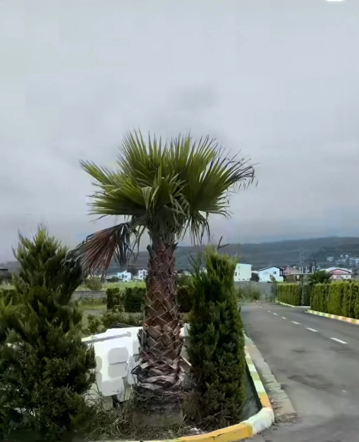زمین شهرکی ونوش _ سند تک‌برگ _ متری ۵۵تا ۶۰ میلیون