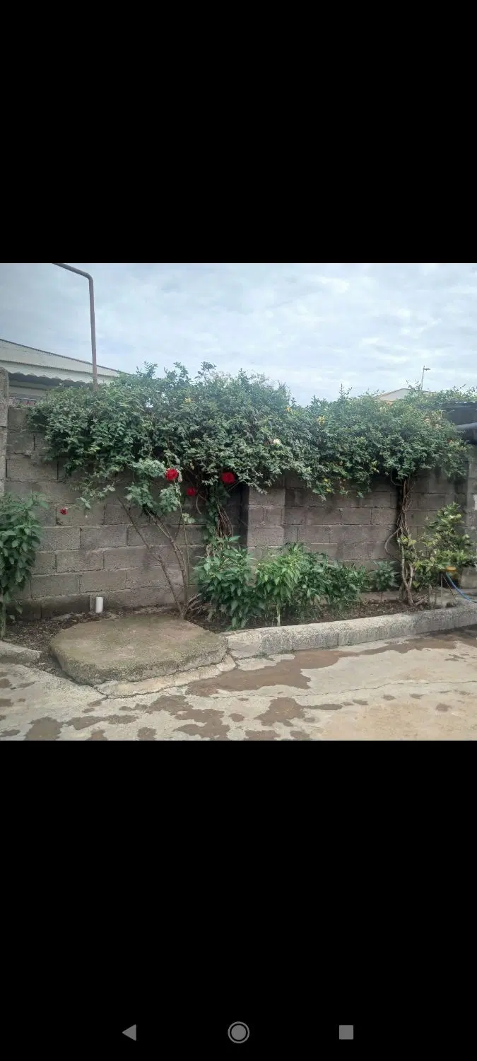 اجاره ویلا دربستی دو خوابه ماسال