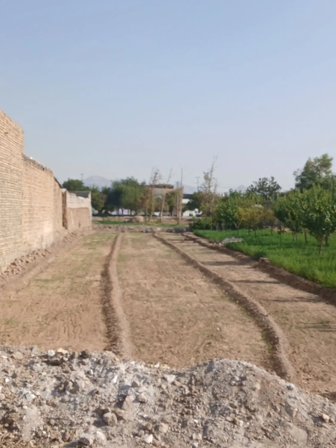زمین کشاورزی خیابان امام رضا