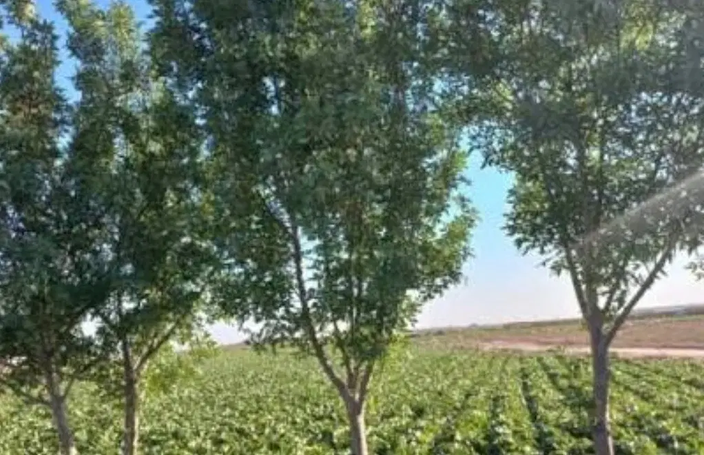 آب قنات با زمین