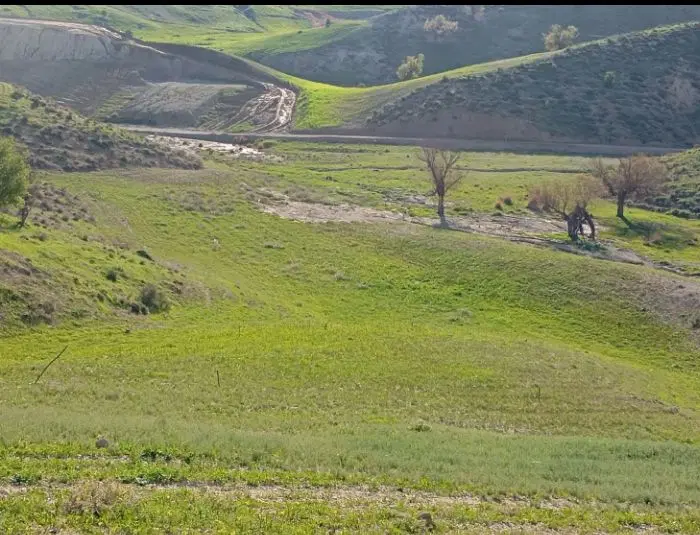 ۶۵۰۰ متر زمین کشاورزی جهت خانه باغ و طرح