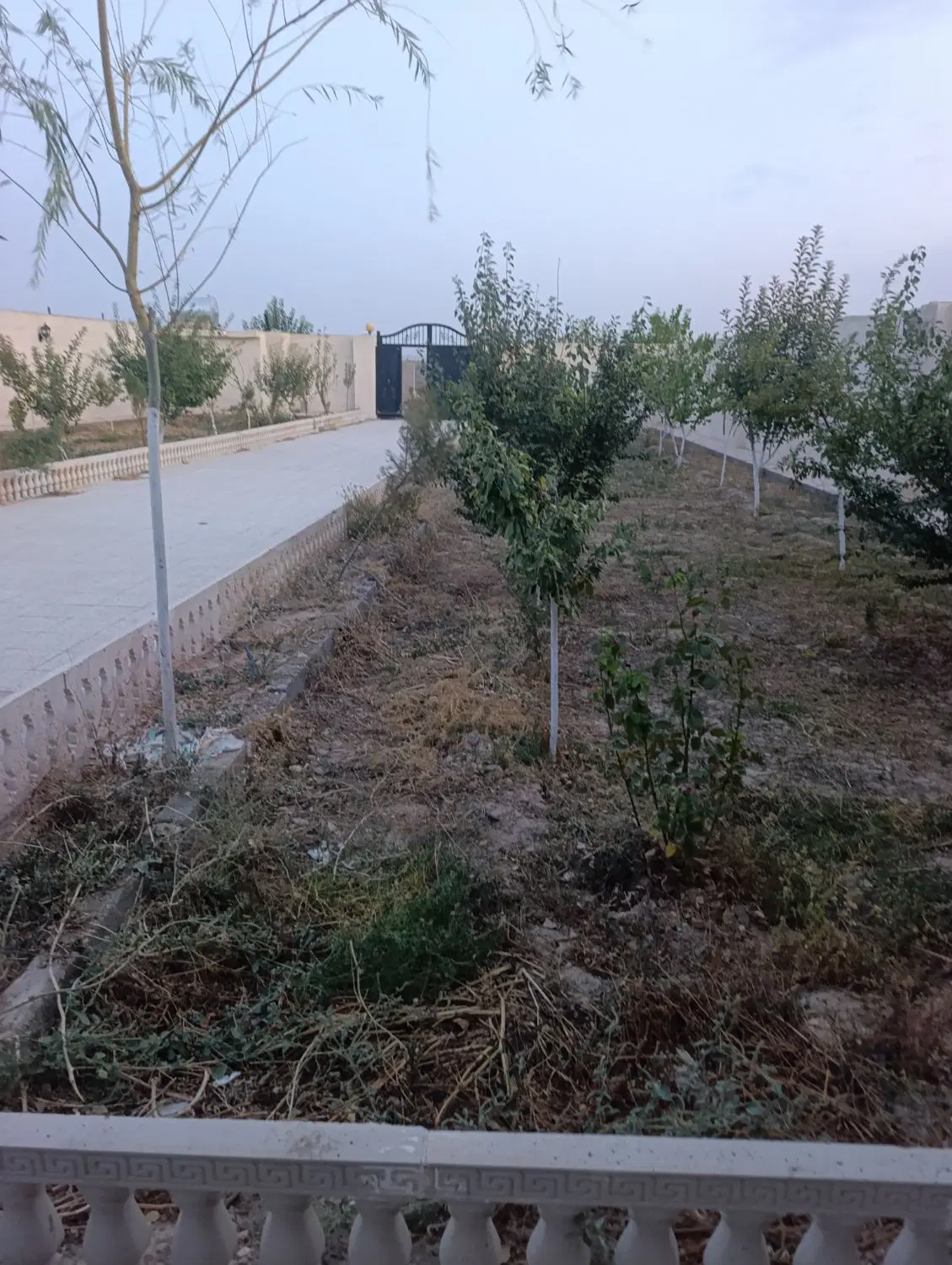 ۳۱۰۰متر باغ ملک دور دیوار وکالت محضری