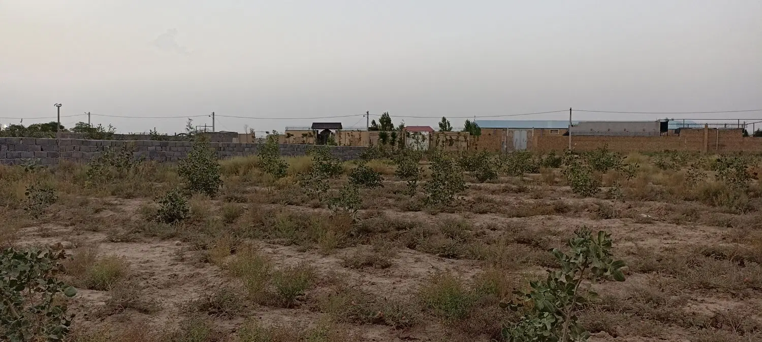 زمین کشاورزی