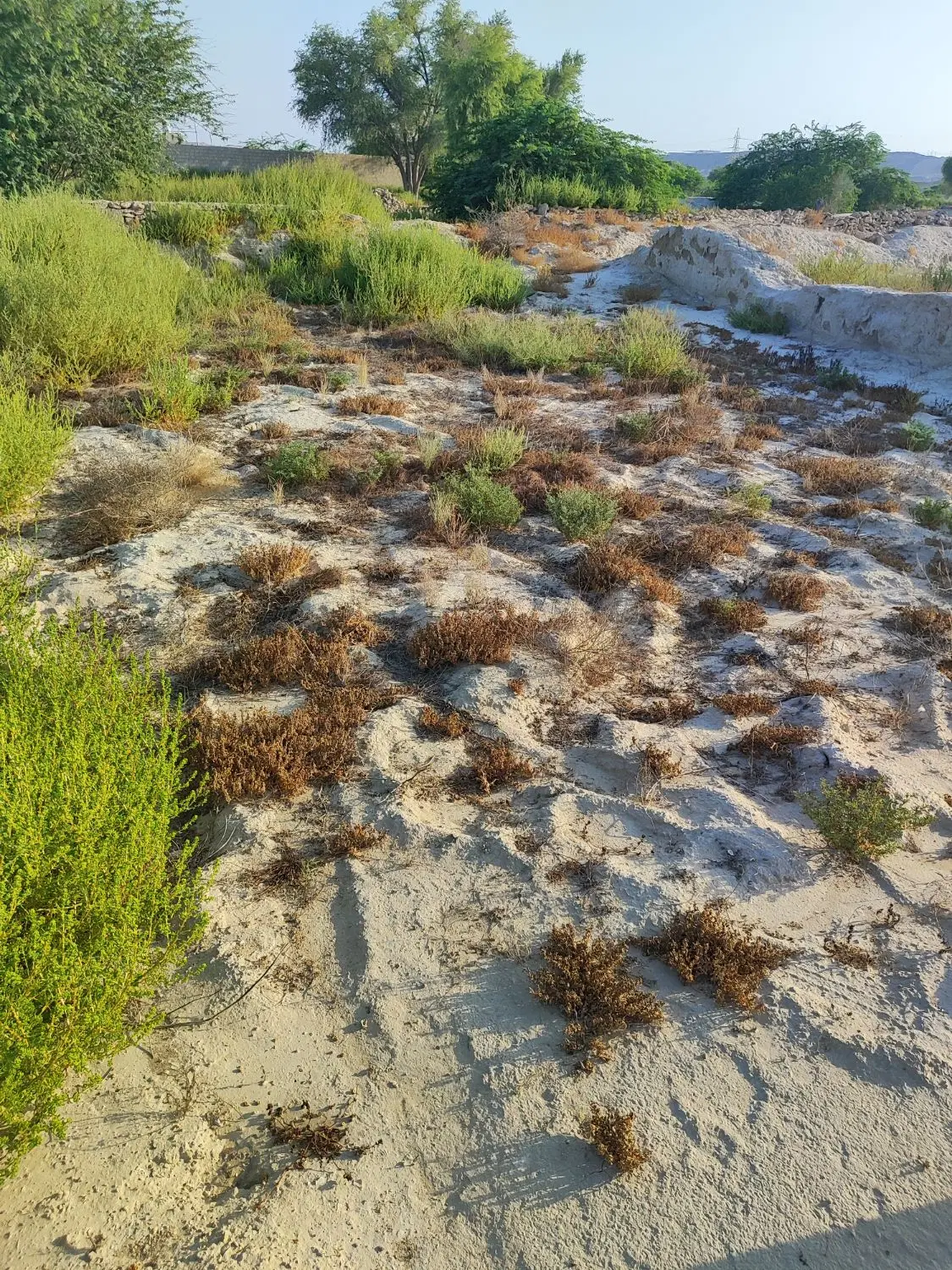 فروش زمین