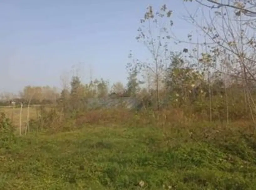 ۱۳۵ متر زمین مسکون