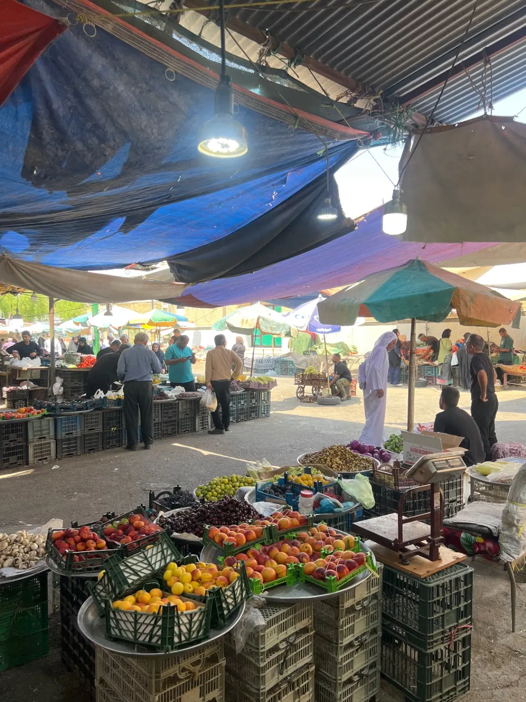 اجاره مغازه بازار روز