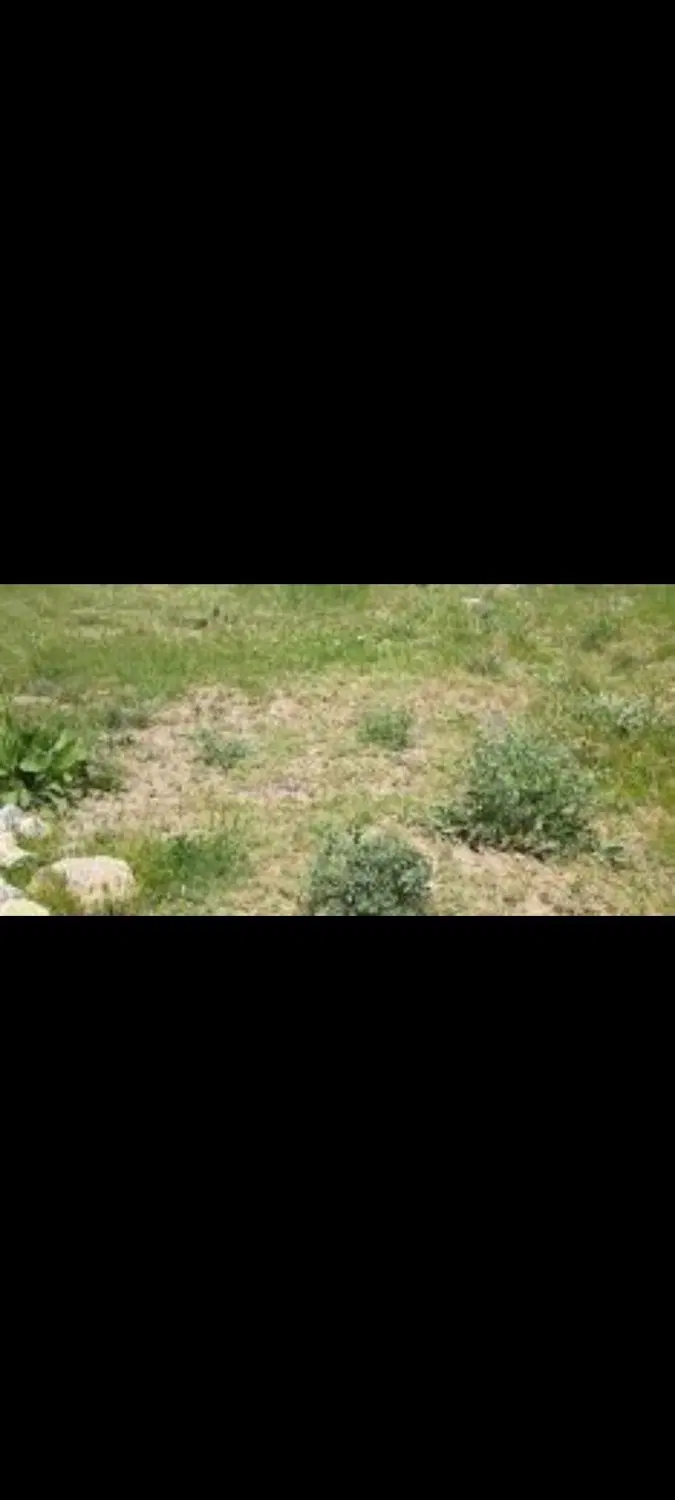 زمین مسکونی ۲۰۰ متر آرمان ۵