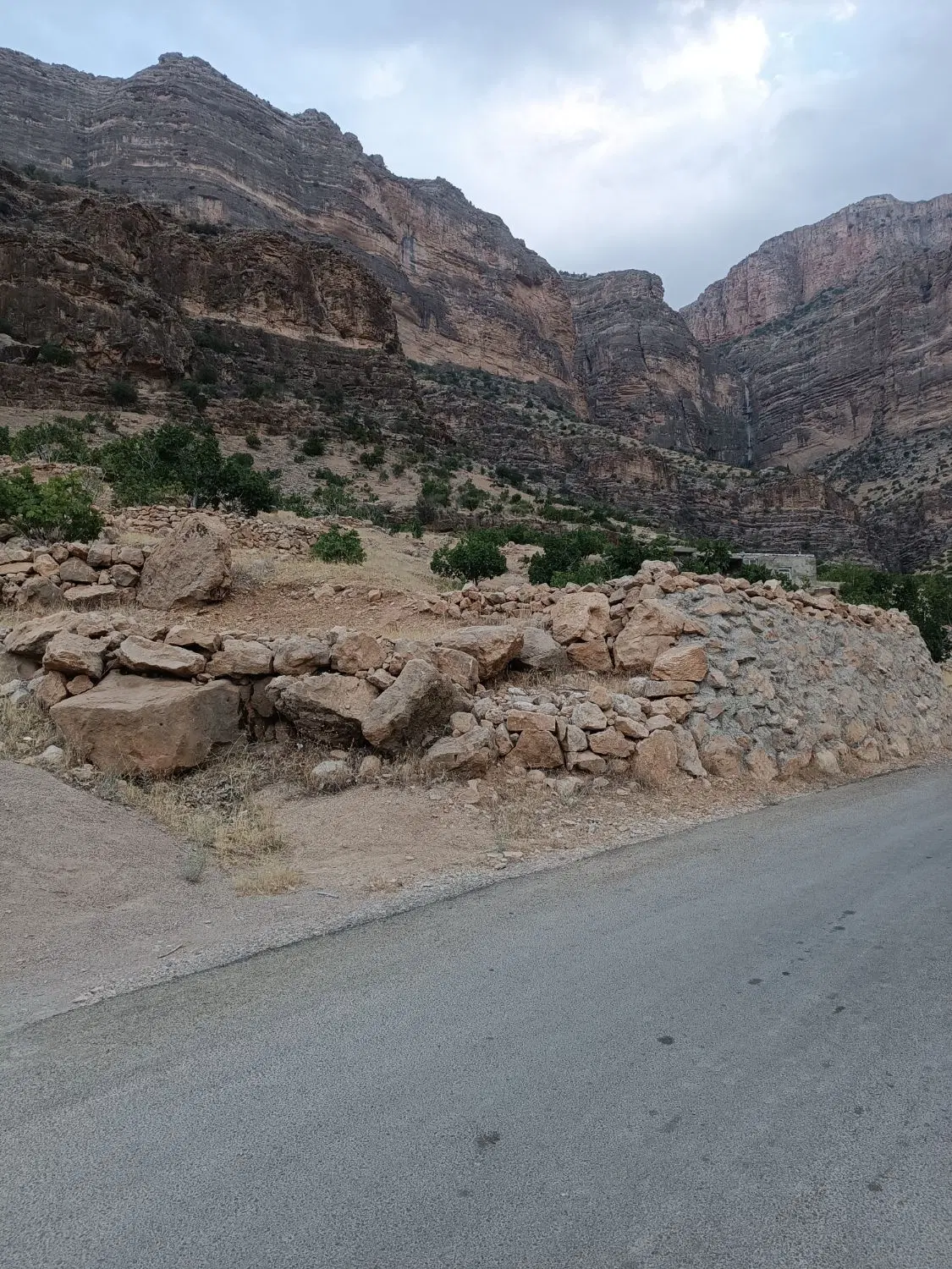 ملک انجیرستان تارم