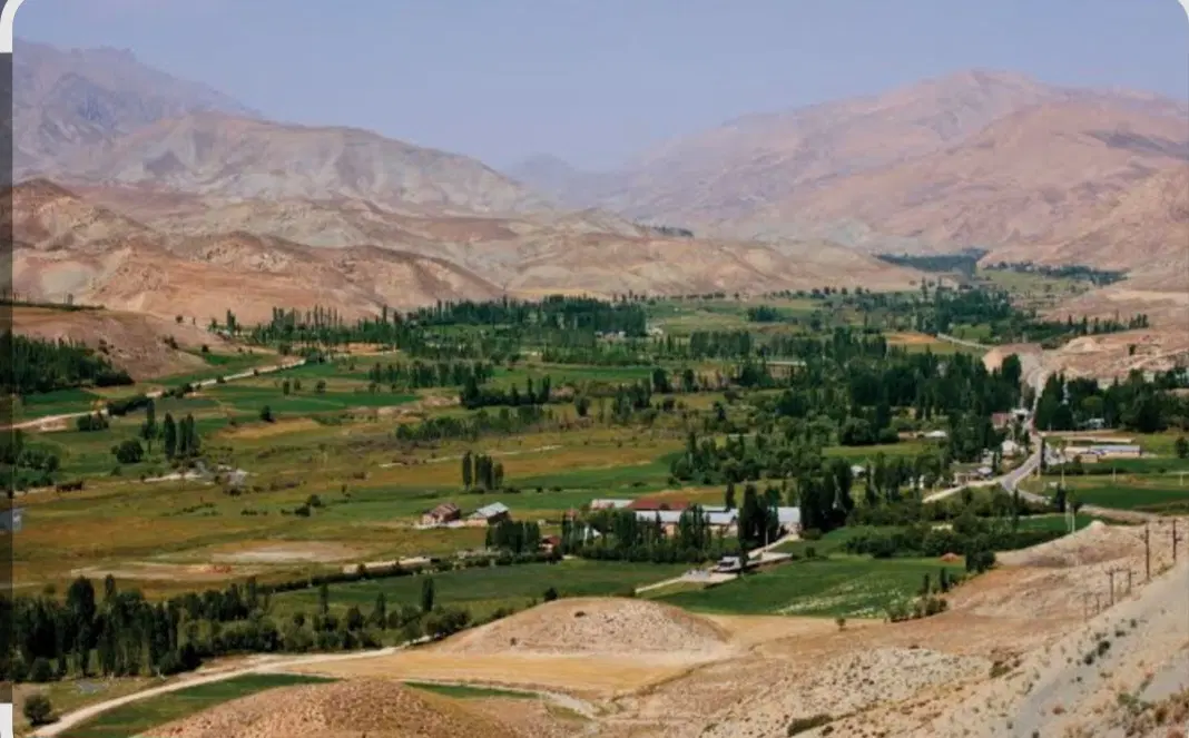 فروش باغ بارده در فیروزکوه شهر ارجمند