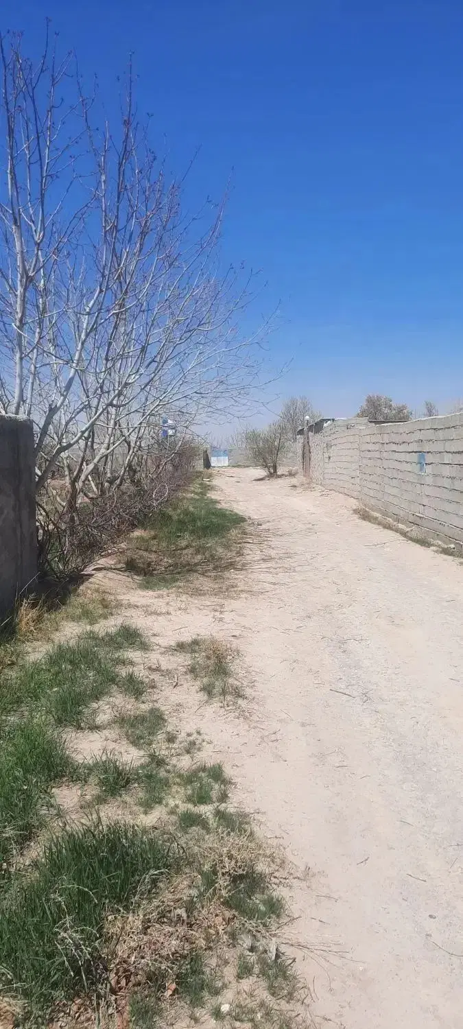 زمین با کاربری باغی به متراژ ۳ هزار متر