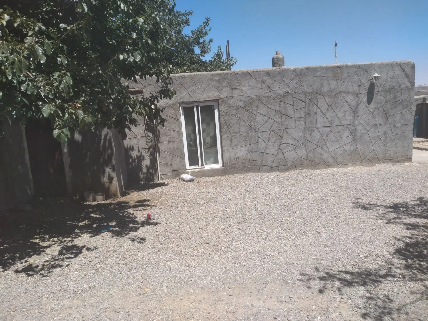 گاوداری آماده وتمیز.