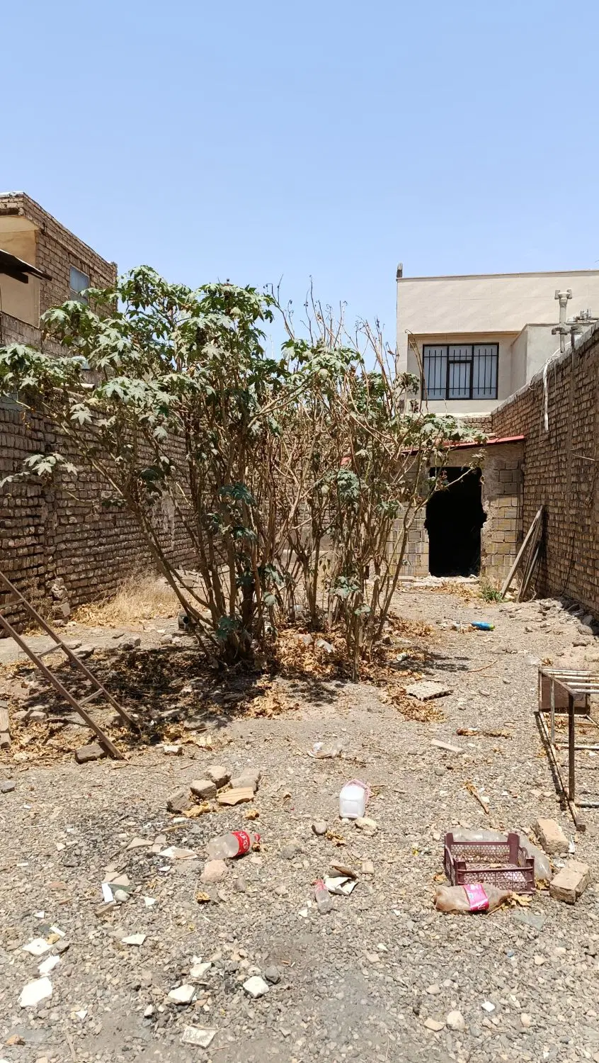 زمین