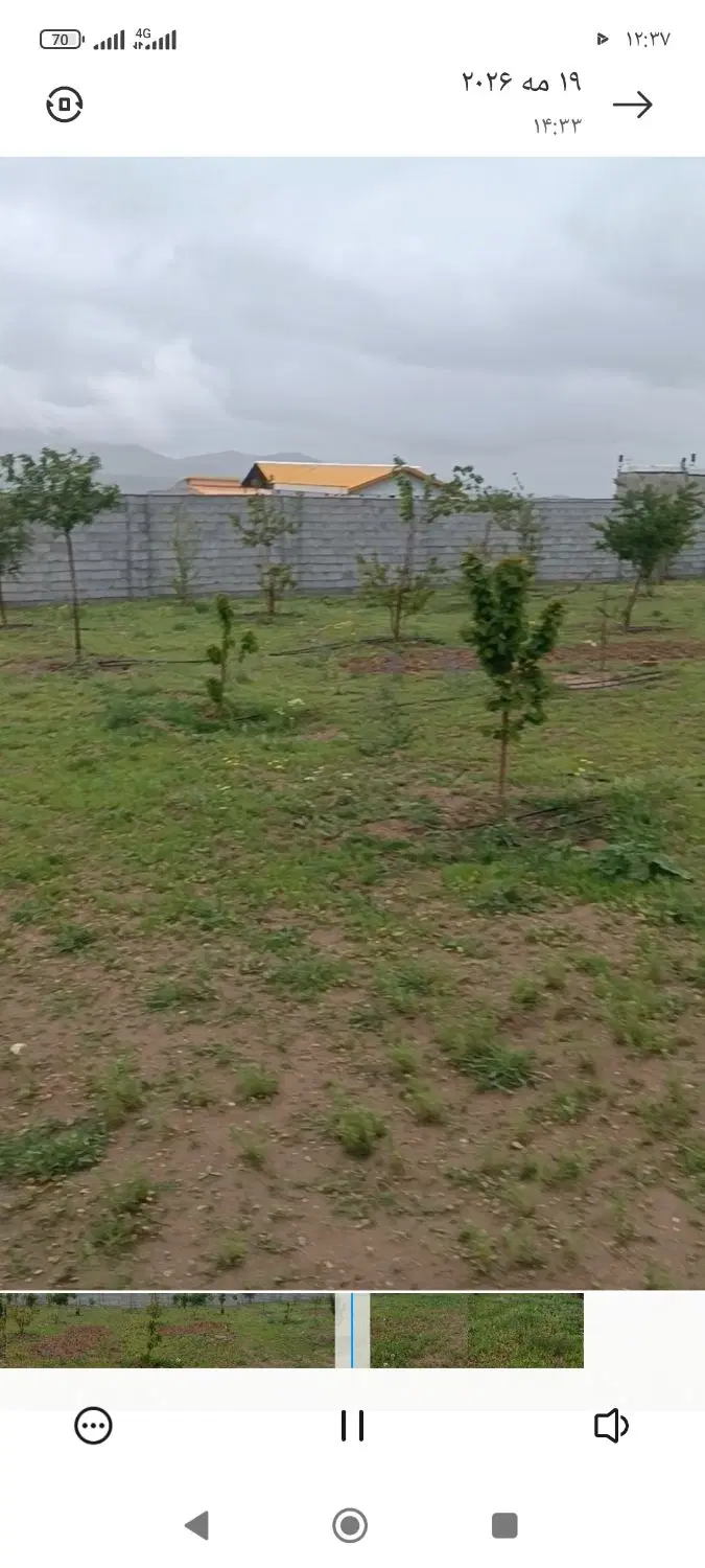 زمین حصار باغی در اسپیران کوی شهر یولی