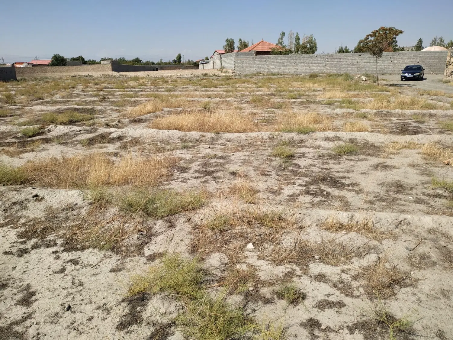 زمین شاهنامه ۷۶ گلستان