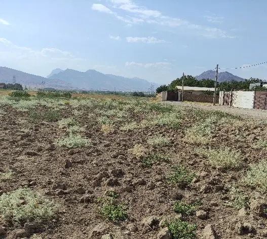 زمین مسکونی حسن آباد