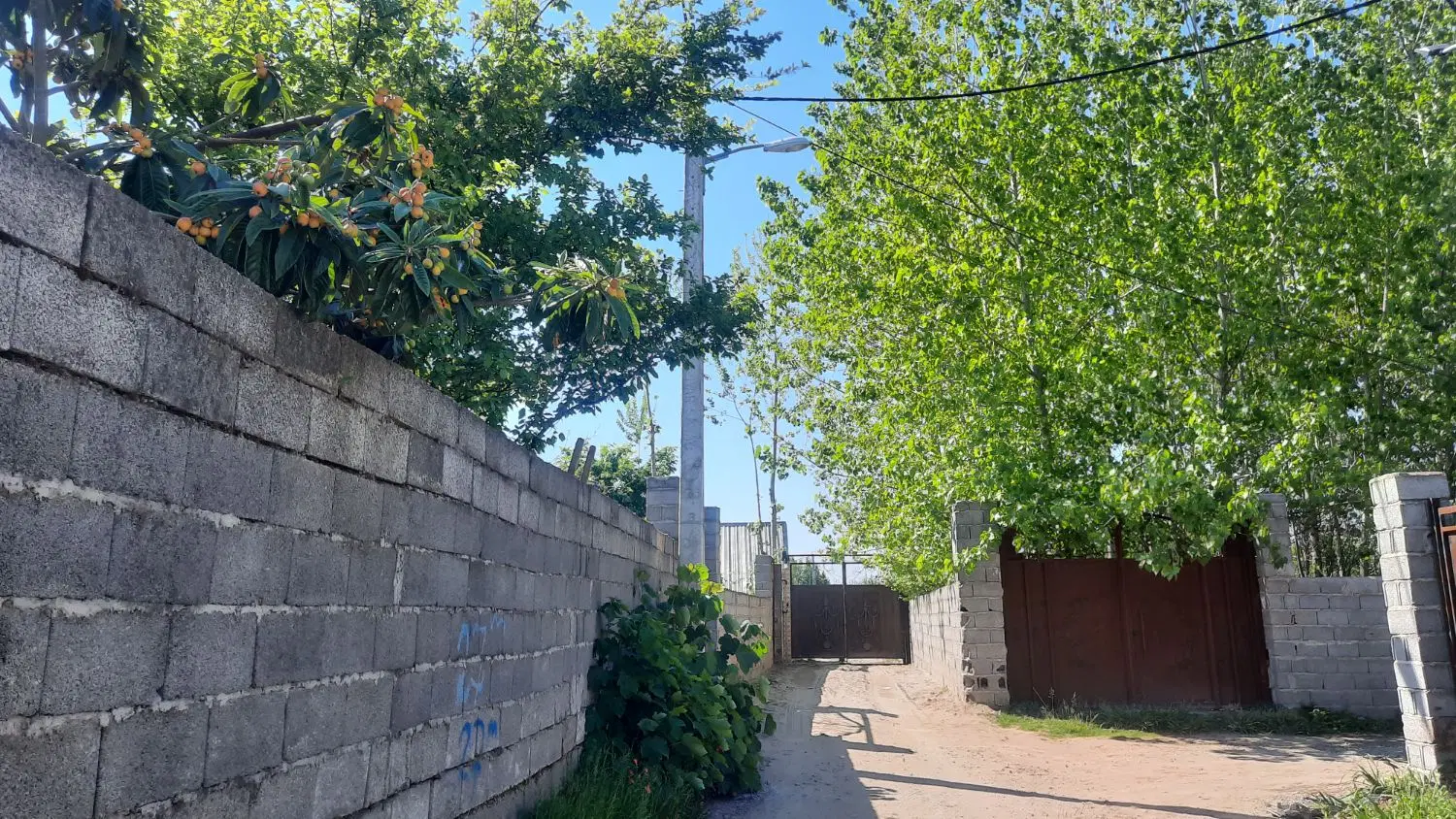 ۲۳۰۰ متر زمین باغی_گفشه