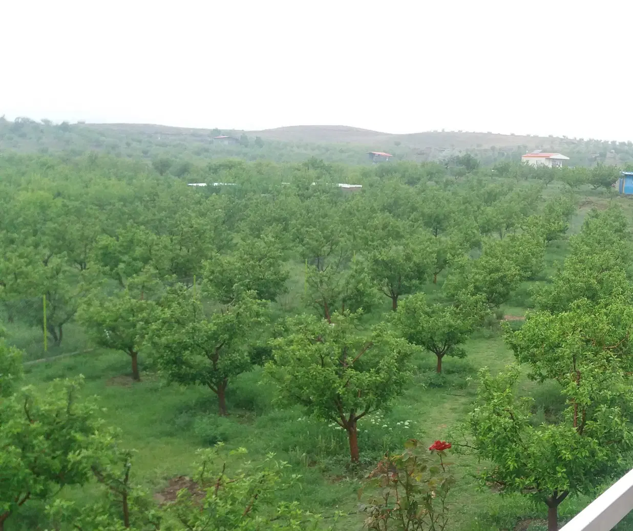 باغ ویلای در نزدیک اهر