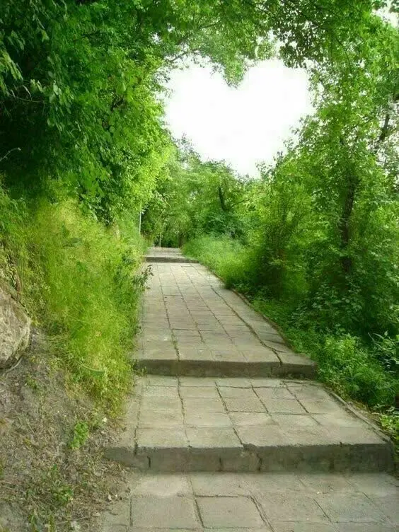 فروش باغ