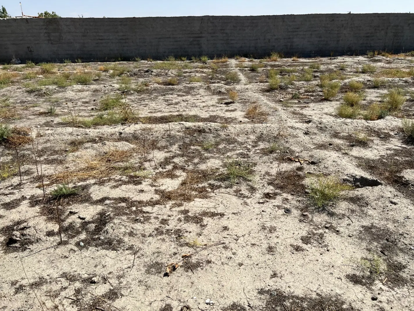 زمین شاهنامه ۷۶ گلستان