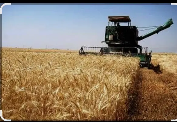 زمین کشاورزی