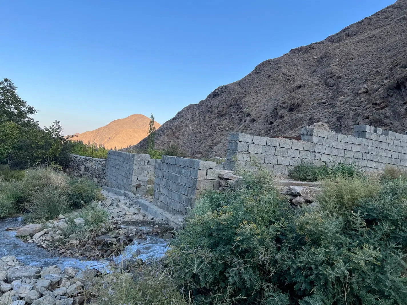 زمین ناصر آبادسیرچ باجوآب دائم جلو ملک نقدومعاوضه