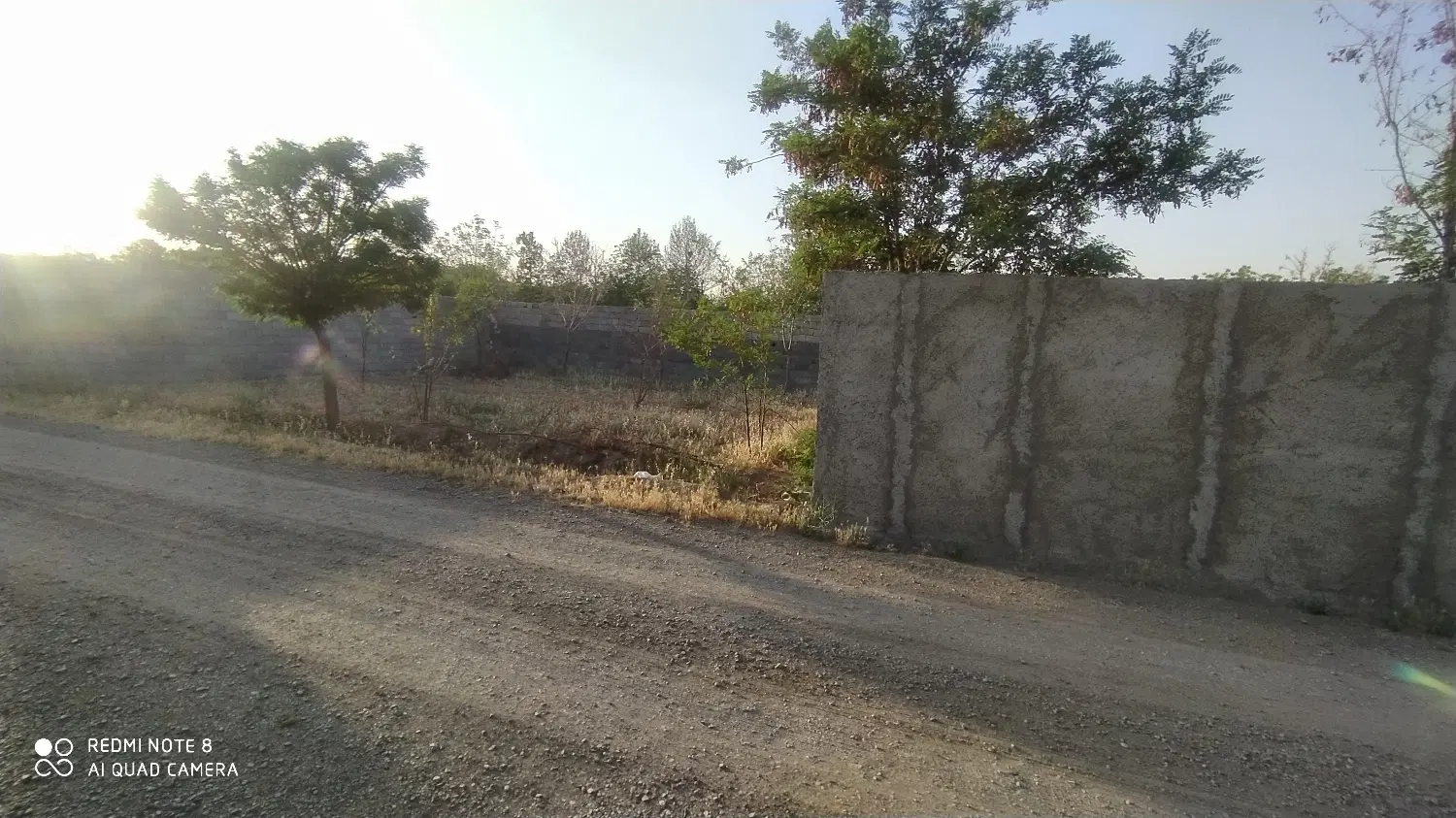 کوهسار