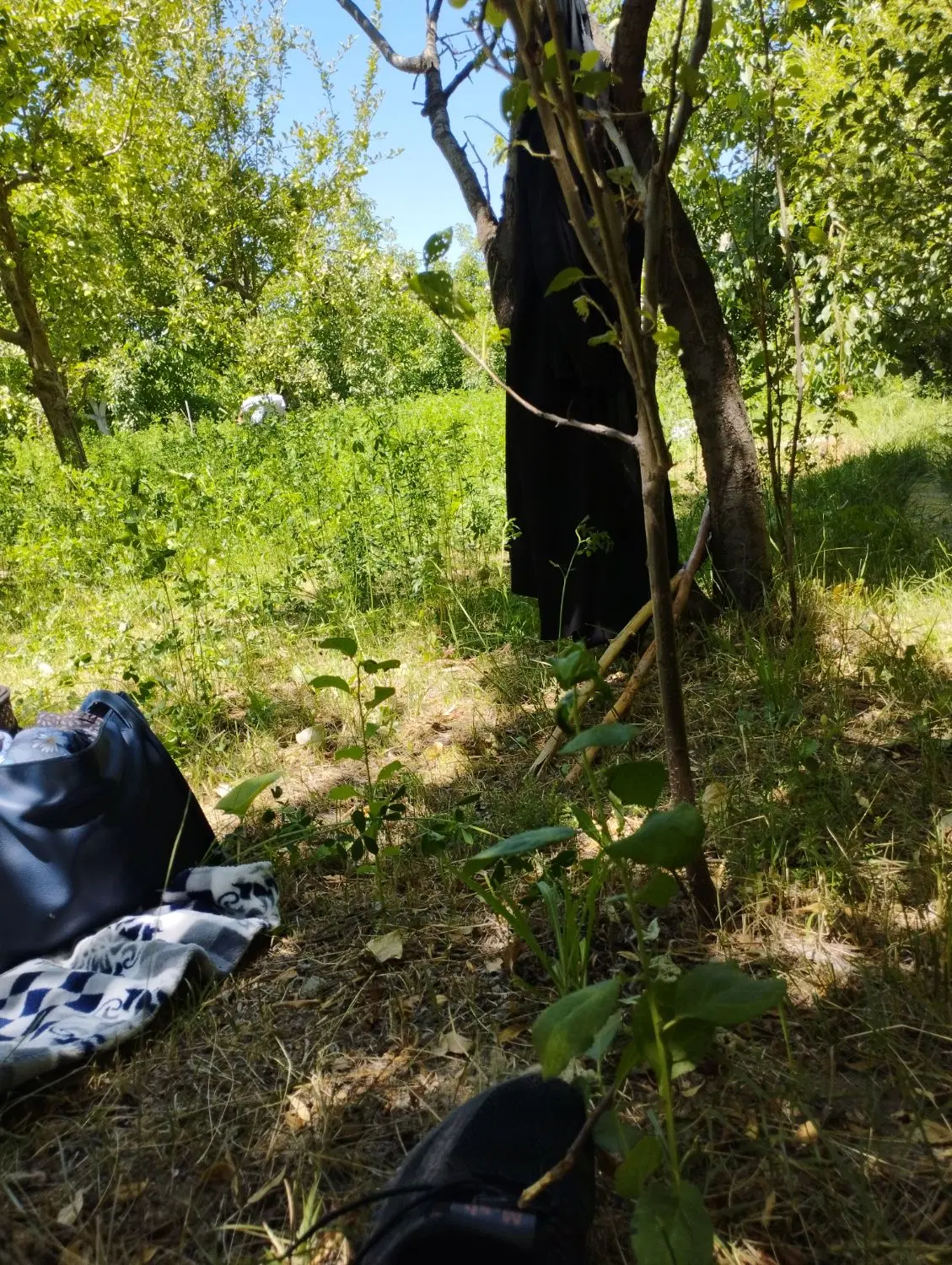 زمین کشاورزی و مسکونی