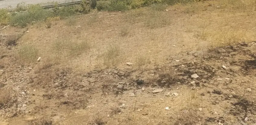 زمین مسکونی