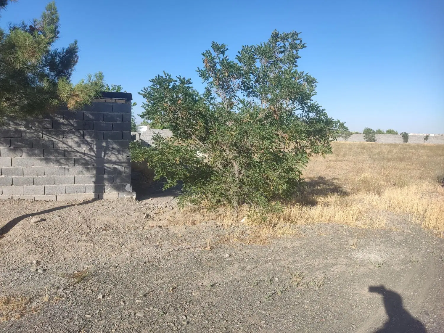 زمین ۴۰۰ متری سنددار باغستان ثامن چاهشک