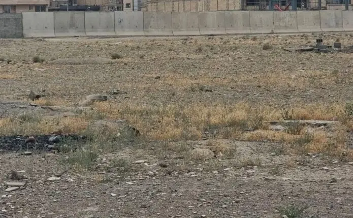 زمین دو کله ۲۵۰ متر فار۴